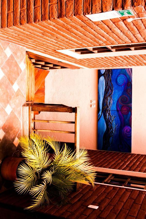 キト Casa Del Arupoホステル エクステリア 写真