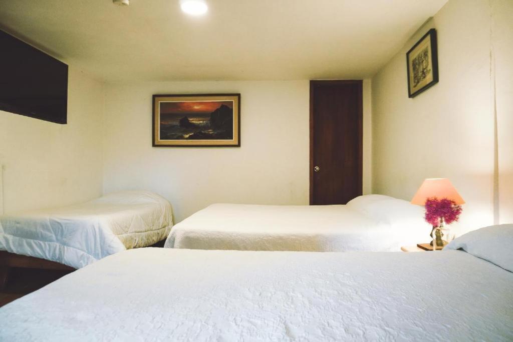 キト Casa Del Arupoホステル エクステリア 写真