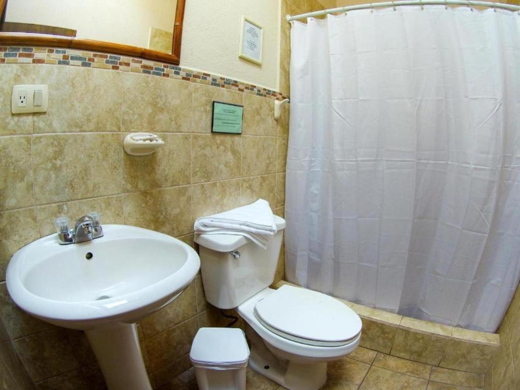 キト Casa Del Arupoホステル エクステリア 写真